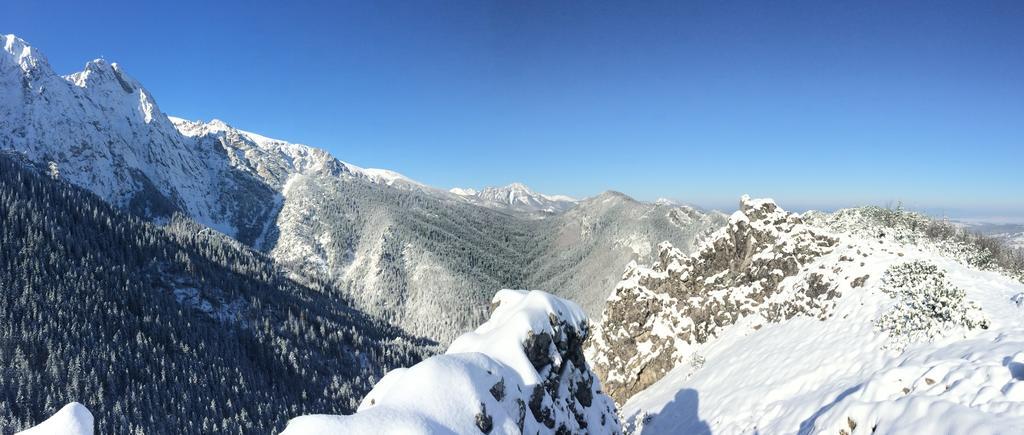 Astoria - Willa Literatow Zakopane Dış mekan fotoğraf