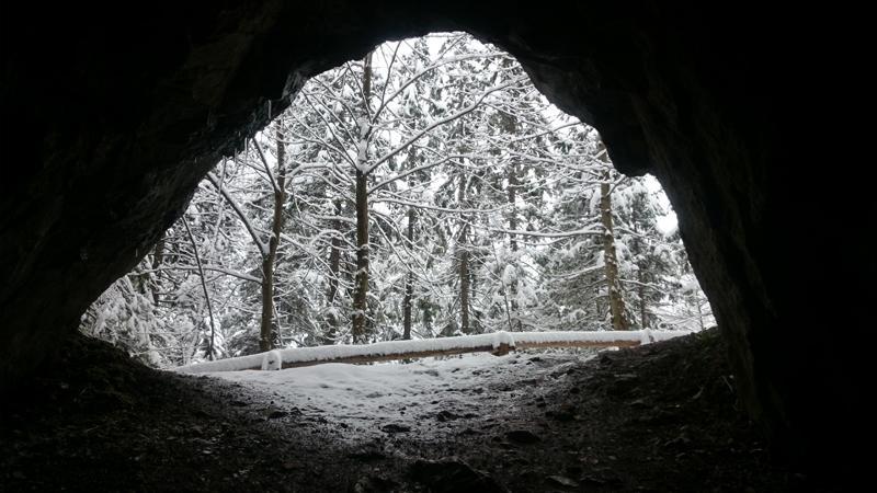 Astoria - Willa Literatow Zakopane Dış mekan fotoğraf